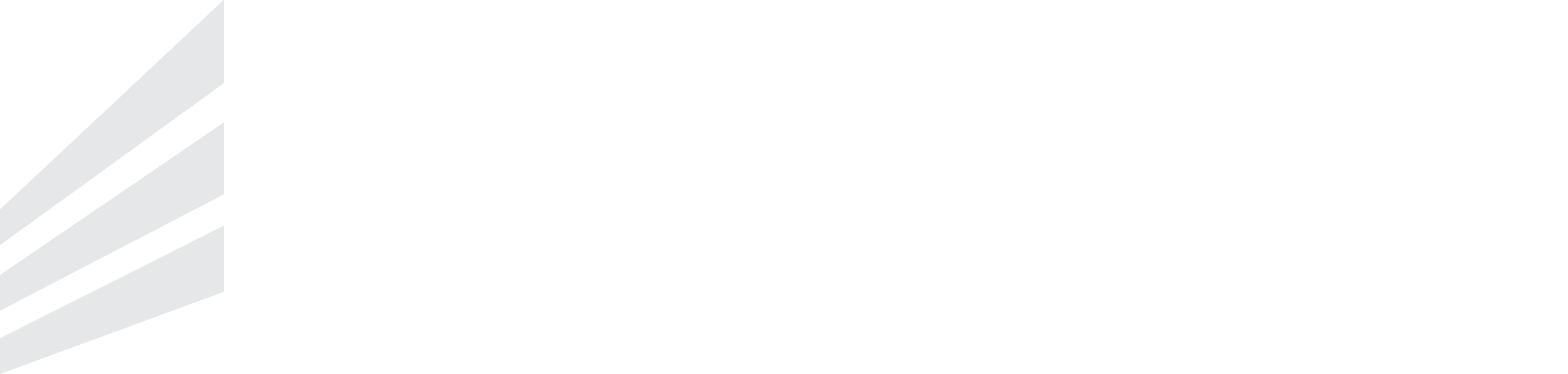 RAND Developments logo in white
